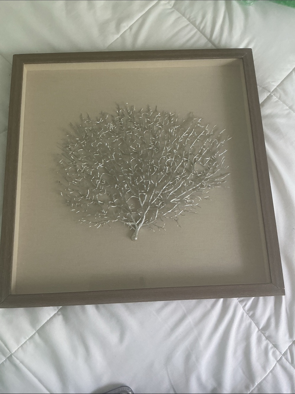 Framed Silver Faux Coral Wall Art - Neutral Toned Background